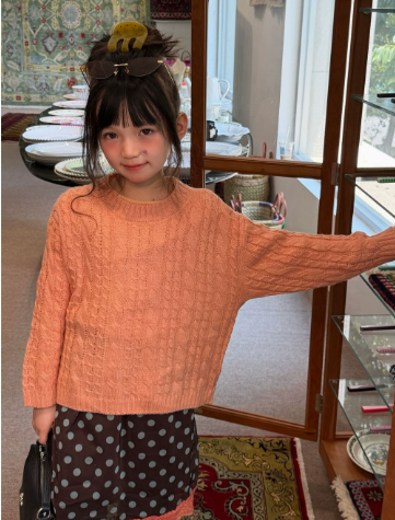 女の子用セーター 2026年秋冬新作 子供服 韓国スタイル  - Baby Clothing Jumpers のレビューと価格